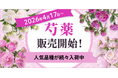 【芍薬販売開始】滝の粧、華燭の典など人気品種が続々入荷中｜花の卸通販フラワースミスマーケット