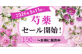 【期間限定】芍薬SALEを2026年5月11日～開催！｜花の卸通販フラワースミスマーケット