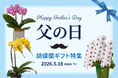 父の日胡蝶蘭ギフトを2026年5月18日～販売開始！｜胡蝶蘭専門サイトフラワースミスギフト