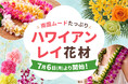 ハワイアンレイ作成におすすめの花材を、7月6日～販売開始！｜花の卸通販フラワースミスマーケット