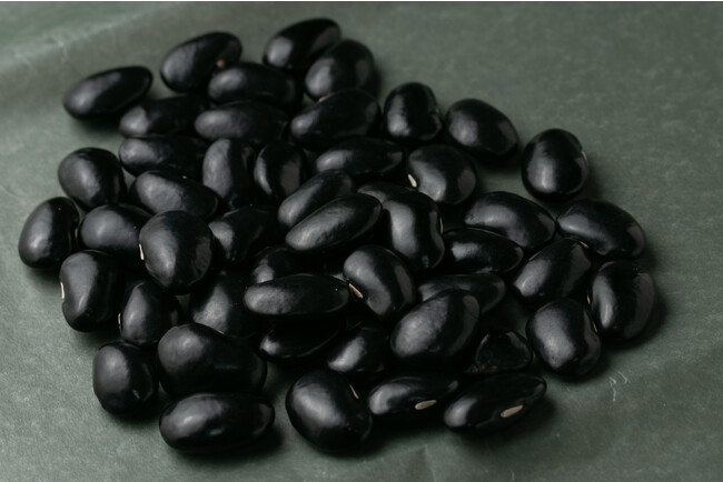 「旅色」×バルニバービ地域活性化共同プロジェクト第3弾：常陸大黒