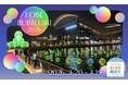 神戸ストークスの西地区優勝まで“マジック１”！アジア初の水辺のアート「KOBE BUBBLUMI 2026」もストークスGREEN ver. のイルミネーションで応援！
