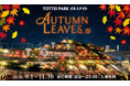 紅葉の風情を光で表現！TOTTEI PARKで紅葉狩りを楽しむ『TOTTEI PARKイルミナイト - AUTUMN LEAVES -』2026年9月1日（火）～11月30日（月）に開催