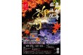 【京都】高台寺 方丈前庭〝波心庭″でのプロジェクションマッピングのテーマは「祈り」 秋の夜間特別拝観は2024年10月25日(金)から開催!