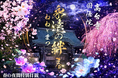【京都】高台寺 「春の夜間特別拝観」今春のテーマは「永遠の絆 春　～ねねとまつ～　」新作プロジェクションマッピングを2026年3月1３日（金）より公開 ！