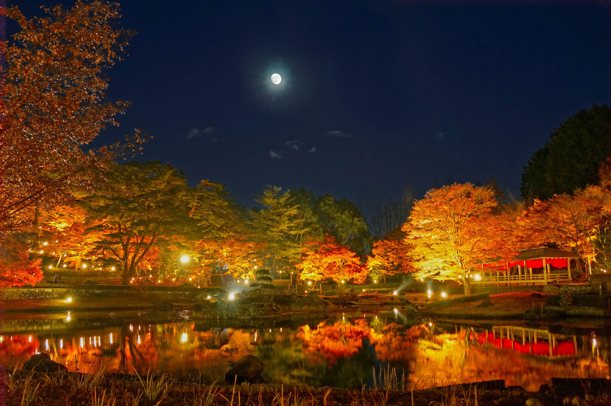 晩秋の修善寺虹の郷、夜空を彩る光の競宴『もみじライトアップ』＆『願いを込めて！虹の郷スカイランタン』＆『秋の花火大会』を開催（修善寺虹の郷では