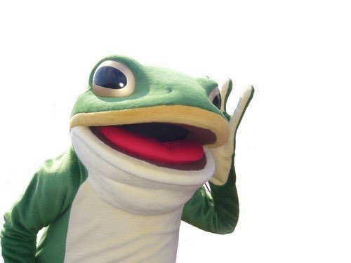 Fm愛媛で 蛙の一平くんの新番組がスタート 株式会社エフエム愛媛のプレスリリース