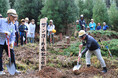 【イベントレポート】和歌山県「企業の森」プロジェクト「サンコーの森」にて森林保全活動の植樹祭を実施