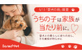 【5/13「愛犬の日」調査】“うちの子は家族”が当たり前に。愛犬との暮らしに変化の兆し、その実態が明らかに