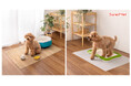 【Sanko Pet】トイレの粗相や食べこぼし対策に特化したマット＆シート2種を新発売