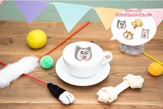 ペット達のココア