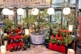 現代の下町に江戸時代の園芸文化を復興させる取り組み　アグロガーデン神戸駒ヶ林店で「下町ガーデンルネサンス」開催
