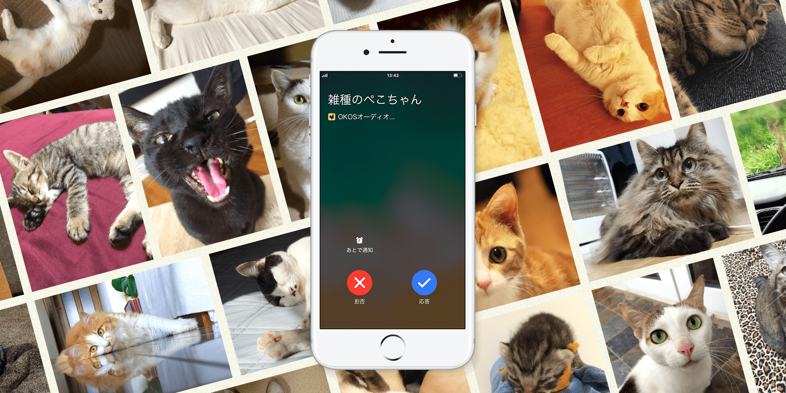 モーニングコールアプリ Okos オコス に新たに 猫さんコール が登場 リアル猫ボイスだにゃ 株式会社コンテンツのプレスリリース
