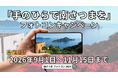 【鹿児島県南さつま市】スマホの1枚から公式ポスターへ！フォトコンキャンペーン2026「手のひらで南さつまを」を9月1日(火)より開催