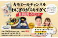 【延期日程決定】カモミールチャンネル×おにぎりがスキすぎて。初のコラボおむすび『カモミールプレート』を10月13日(日)限定販売!!