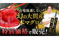 【高級マグロをお買い得な価格で】YouTuber きまぐれクックが釣ったマグロを販売します!