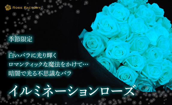 バラの花屋さん ローズファクトリー が 暗闇で光るバラ イルミネーションローズ の販売を開始 株式会社アーネストのプレスリリース