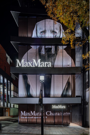 正規通販】 MAX MARA マックスマーラ、東京・表参道にフラッグシップ