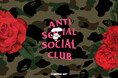 A BATHING APE® X ANTI SOCIAL SOCIAL CLUB