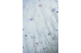 瀧本幹也 写真展「LUMIÈRE / PRIÈRE」
