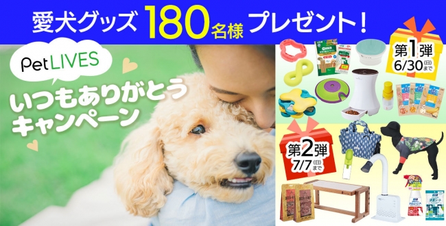 愛犬グッズ180名様プレゼント Petlives いつもありがとう キャンペーン を開催 Petlives ペットライブス のプレスリリース