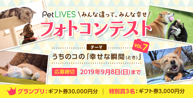 Petlives ペットライブス 愛犬 愛猫のフォトコンテストvol 7開催 Petlives ペットライブス のプレスリリース