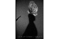 【DIOR】リッゾーリ社より高木由利子の写真集が刊行