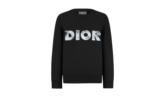 DIOR スウェット ダニエルアーシャム-