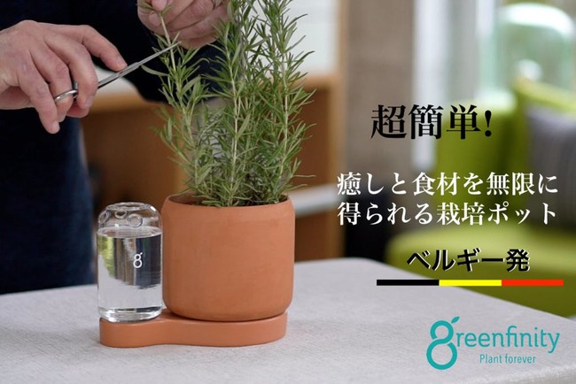 土植えと水栽培を繰り返して無限に育てられる卓上ガーデンポット Greenfnity 時事ドットコム