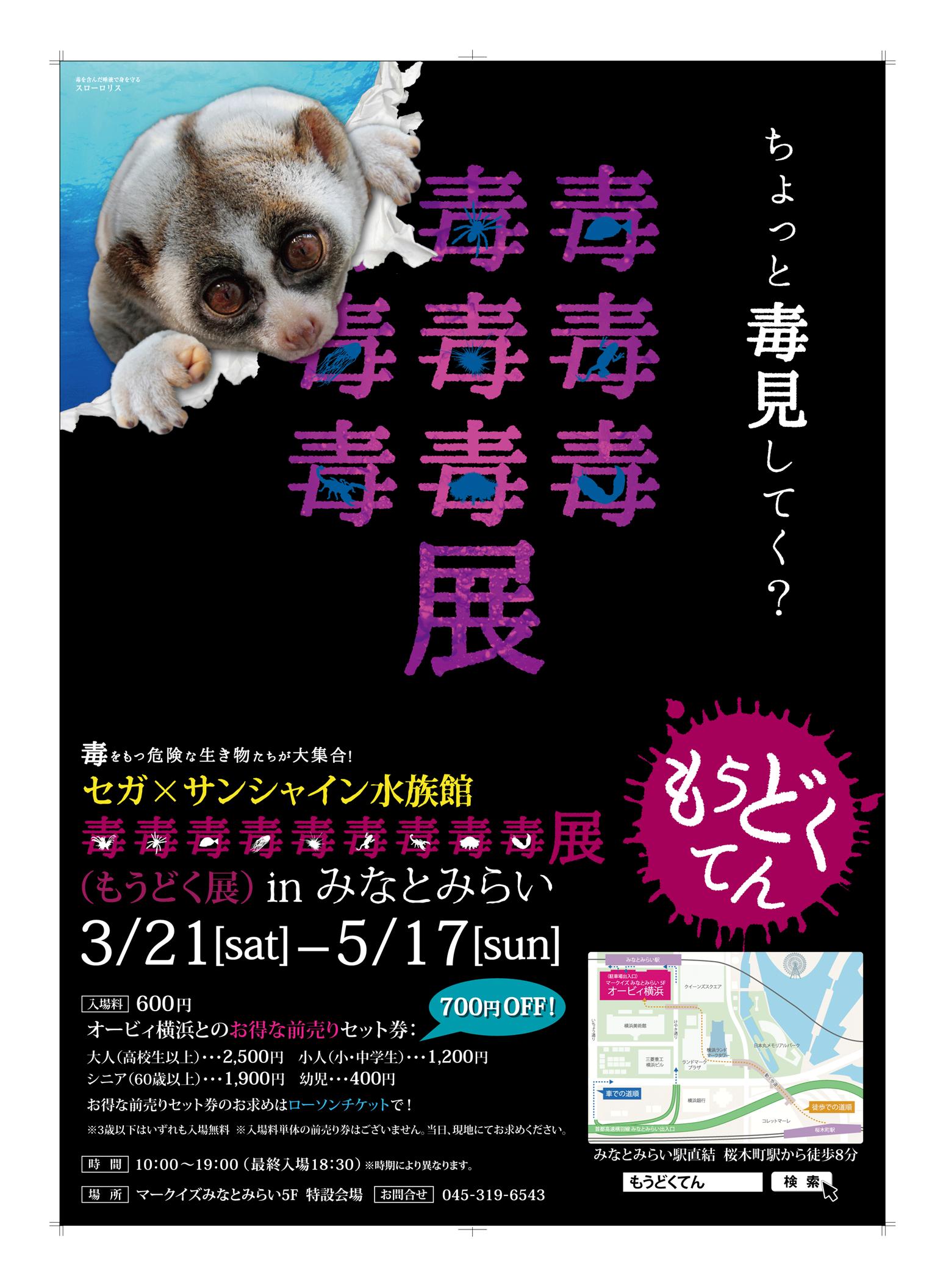 あの 毒を持つ生き物 の特別展が横浜みなとみらいに登場 セガ サンシャイン水族館 毒毒毒毒毒毒毒毒毒展 もうどく 展 Inみなとみらい 株式会社セガのプレスリリース