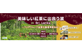スタディツアー「美味しい紅茶に出会う旅 in Sri Lanka フェアトレード紅茶の産地を訪ねる」参加者募集【締切迫る】