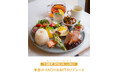 【HACHI&MITSU】日々に彩りとご褒美を。旬の野菜をはちみつで彩る新ランチ「季節のHACHI&MITSUプレート」が登場！