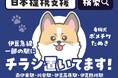 日本提携支援、伊豆急行線で広告掲出を開始 — 沿線7駅にはパンフレットも設置 —