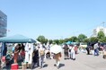 【６月２７日（土）開催】留萌合同庁舎で「ゼロカーボンるもいフリーマーケット」及び「環境パネル展」を開催します。