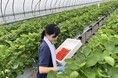 北海道日高振興局職員による副業活動について(令和6年度)