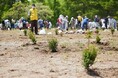 北海道・木育(もくいく)フェスタ2025第75回北海道植樹祭開催決定