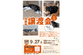 【2025年9月27日(土)開催】「保護猫譲渡会(増毛町:保護猫カフェくつろぎの家)」を開催します。