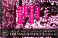 令和5年度環境保全活動顕彰“地域賞”受賞!『目黒川みんなのイルミネーション2024』
