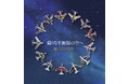 翼をひとつに~織りなす無限の空へ~つながる「飛行機ピンバッジ」