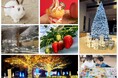 【冬こそ訪れたい!千本松牧場で味わう癒しと絶景!】牧場イルミネーション、冬スイーツ、温泉やいちご狩りなど充実の冬体験