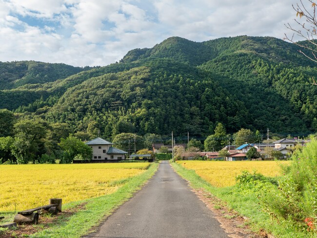 Wild Leaf Quest 落ち葉のまちの冒険ツアー 第1章