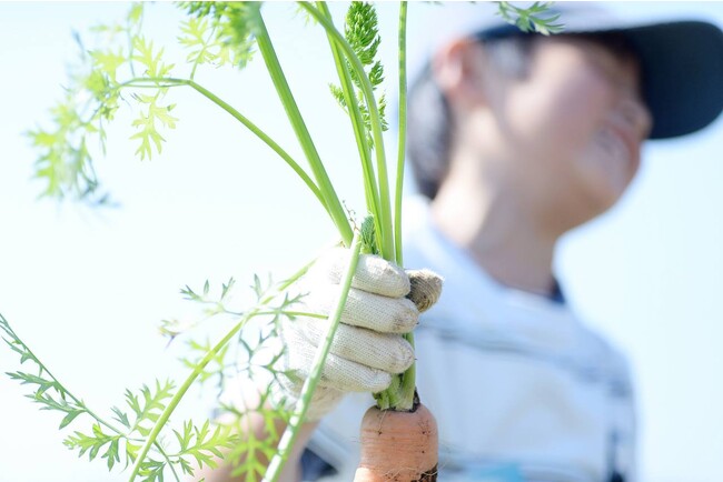 この季節ならではの旬の野菜を収穫しよう！