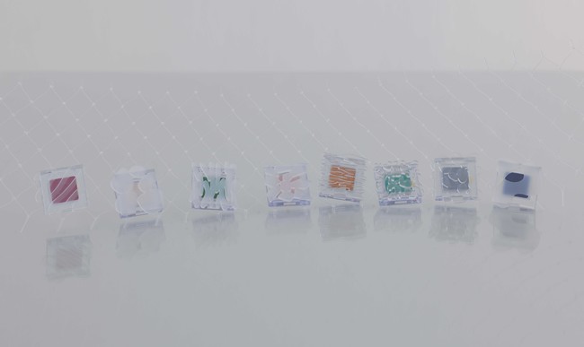 Photographer：Shuhei Tsunekawa