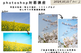 2024年10月11日(金)初めてのPhotoshop講座 写真の色味や明るさを自在に調整しよう!(講師:幡あさみ)