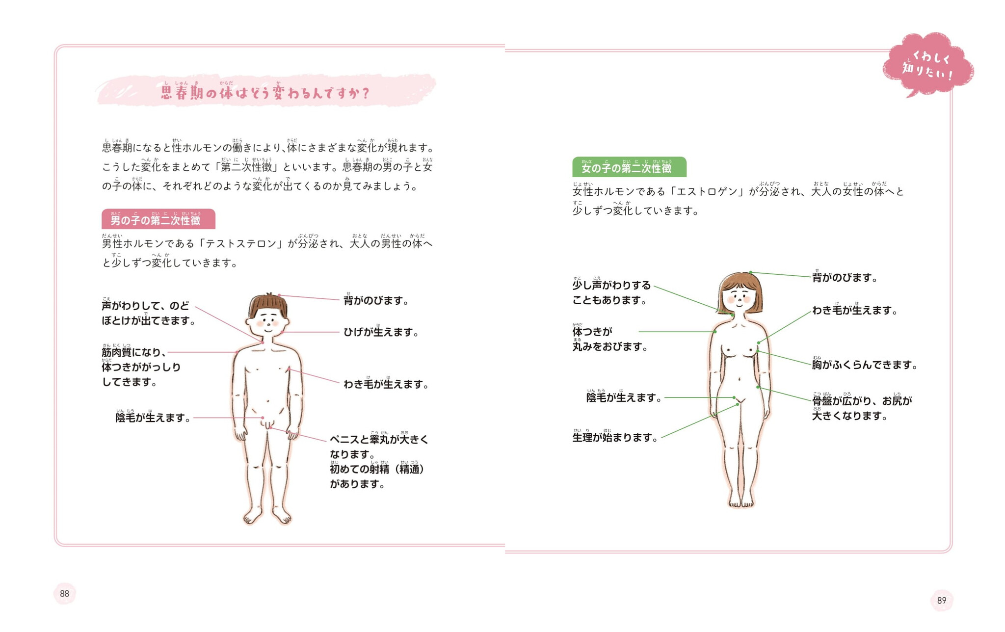 お子さん一人でも読める、親子でも読める、オールカラーの小学生向け性教育の本『小学生が知っておきたい からだの話【女の子編】』『小学生が知って