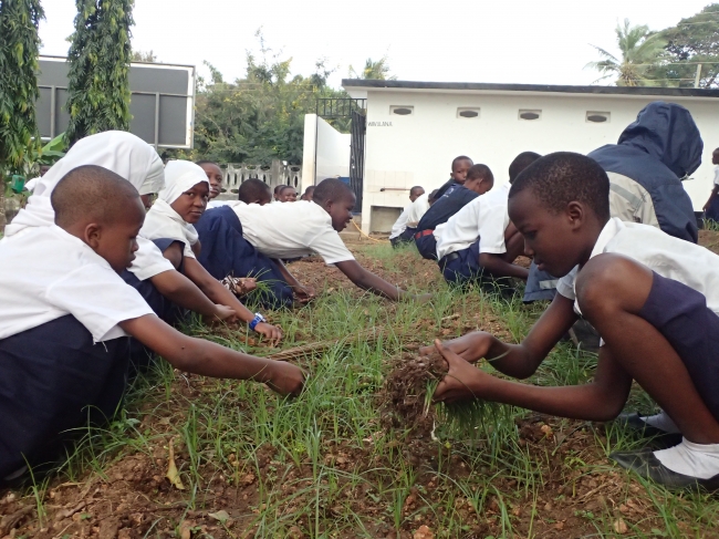 支援先の小学校にて野菜の栽培方法を学ぶ子どもたち