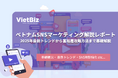 ベトナムSNSマーケティング解説レポート:2025年最新トレンドから富裕層攻略方法まで基礎解説