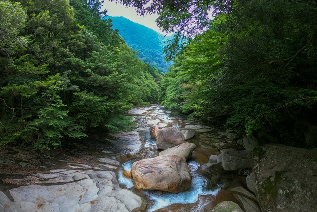 四万十川源流「森の国」にある滑床渓谷