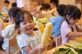 【開催レポート】猛暑で品薄の夏野菜 捨てるところなくおいしくいただく すくすくOisix 保育園で規格外のとうもろこしを使った食育プログラム初実施