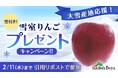 【らでぃっしゅぼーや】秋はクマ、冬は寒波・豪雪被害に遭う青森りんご生産地　雪にりんごを詰めたギフト企画でSNSを通じ産地への応援メッセージを募集 (1/30〜)
